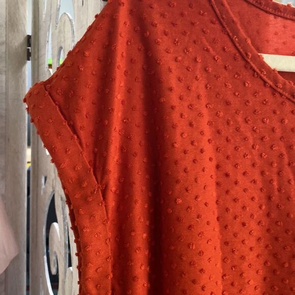 New! Rose + Olive Rust/Orange Swiss Dot Short Sleeve Top Tee Size Large - Picture 3 of 10